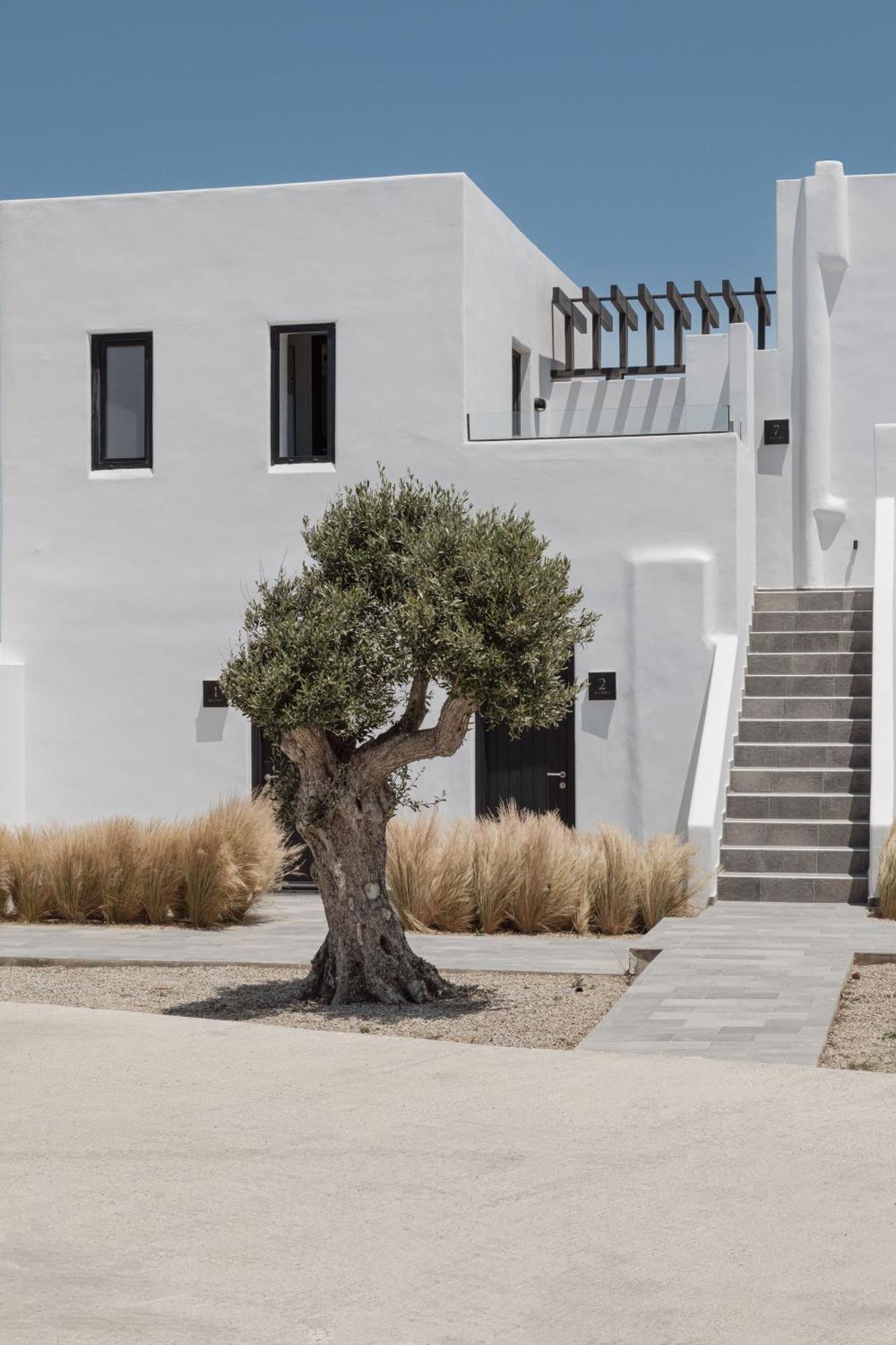 Laguna Suites In Mazera Mykonos Mykonos Town Extérieur photo